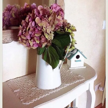 Bed & Breakfast Eurgardenie Rome