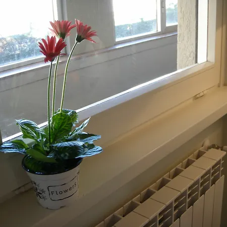 Eurgardenie Bed & Breakfast Rome