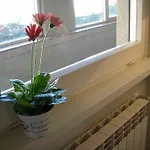 Eurgardenie B&B 로마
